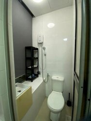 Suffolk Premier (D11), Apartment #457337871